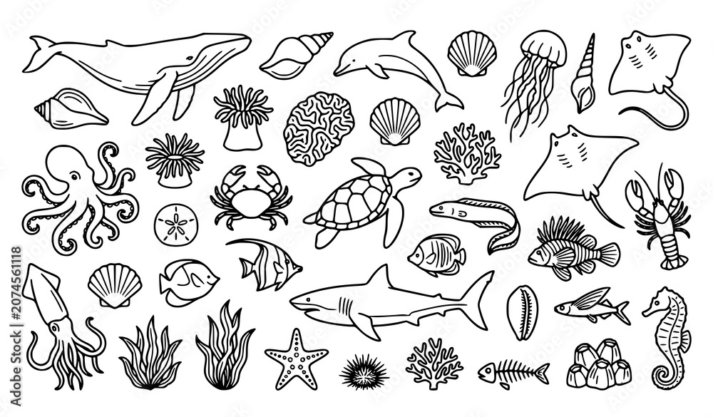 Fototapeta premium Underwater Marine Animal Collection with Whale Jellyfish Starfish Coral and Sea Life Outline Icons