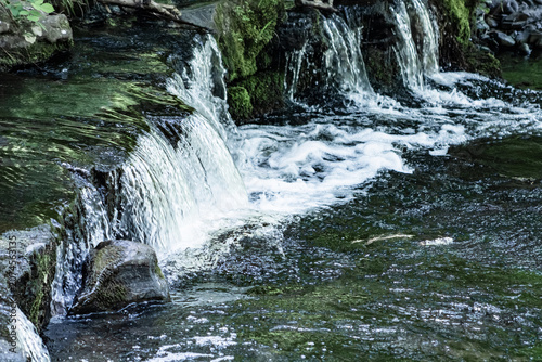 Small waterfall cascading over mossy rocks into a foaming forest stream