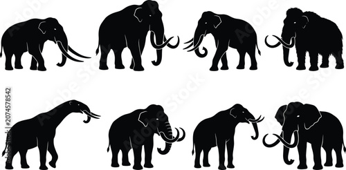 Canvas Print Silhouette collection of prehistoric proboscideans including mammoths mastodons
