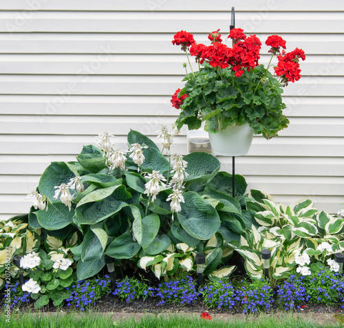 American Red, White and Blue Garden