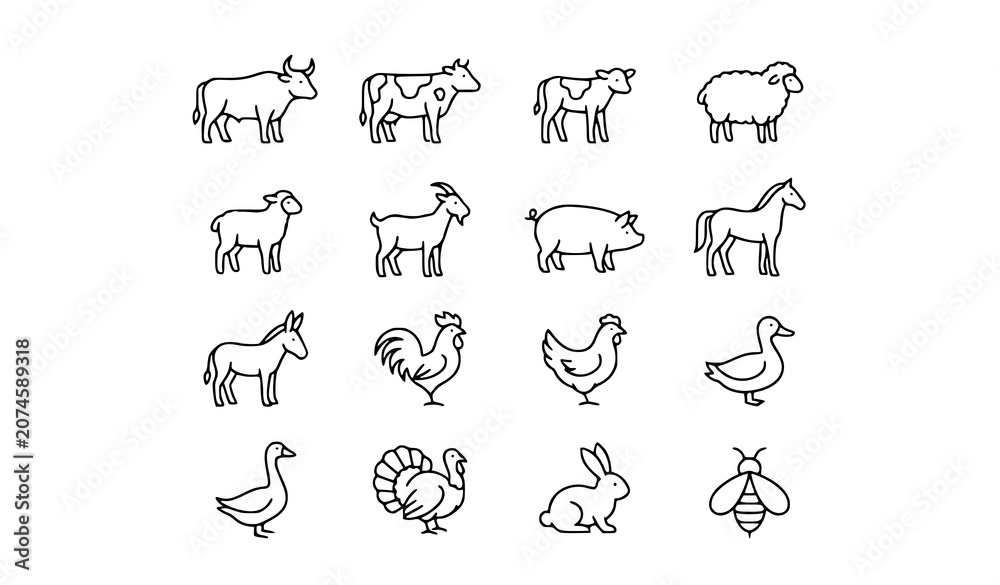 Fototapeta premium vector set of animals