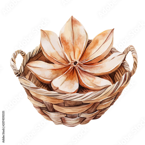 Photos Water Caltrop Basket, vibrant watercolor vector illustration with flowing and detailed brush strokes, isolated on a white background
