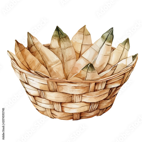Foto Water Caltrop Basket, delicate watercolor illustration vector with soft and elegant colors, isolated on a white background