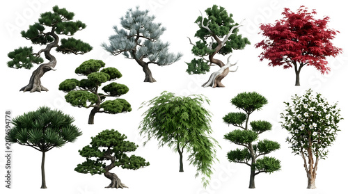 Collection of various bonsai trees and decorative garden plants isolated on transparent background