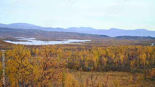 Aerial Drone View of Autumn Birch Forest and Tundra Landscape Near Abisko in Northern Sweden