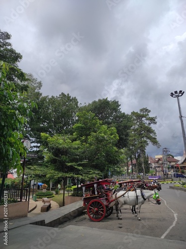 Obraz na plátně Traditional horse-drawn carriage or bendi parked on the roadside in Bukittinggi,