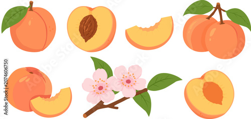 Foto Cute Peach Clipart Set Flat Vector Illustration