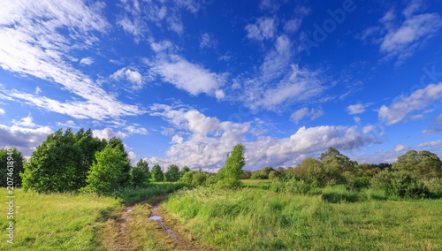 Fotografia Wide green field stretches beneath a vivid blue sky