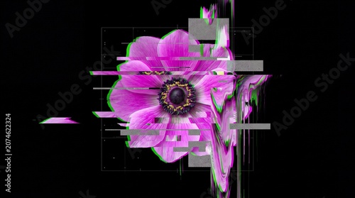A flower with a digital glitch effect on a black background, abstract contemporary art