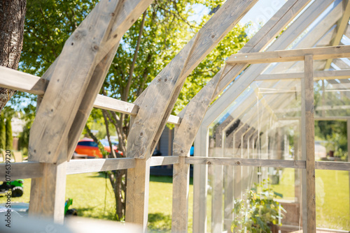 A partially built wooden greenhouse with pale timber arches and tempered glass stands in a garden. Young plants line the interior wall as warm afternoon light filters in.
