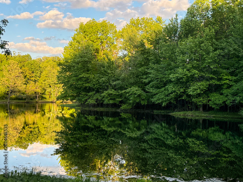 Bright spring foliage reflected in a tranquil pond at Dobbs Park Nature Center in Terre Haute, Indiana