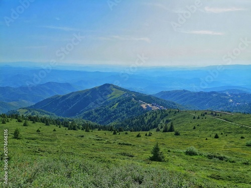Panoramic summer view from Pančić Peak on Kopaonik mountain showing vibrant green alpine meadows with scattered pine trees in the foreground and layered mountain ridges fading into blue haze