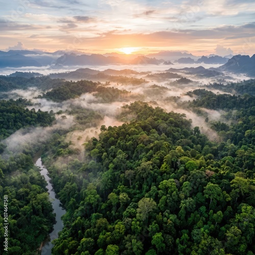 Sunrise over misty tropical rainforest and winding river valley.