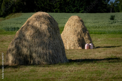 Bild auf Leinwand Traditional Haystacks With Old Milk Cans in Rural Farm Field, Farming Heritage a