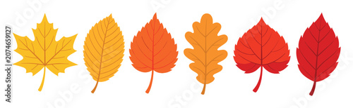 Displaying warm colors and varied shapes, autumn leaves embody the fall season, nature, and foliage