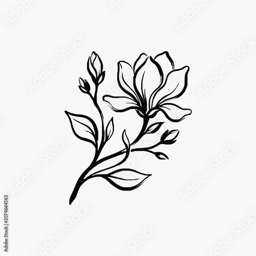 Elegant hand-drawn magnolia flower and buds illustration.