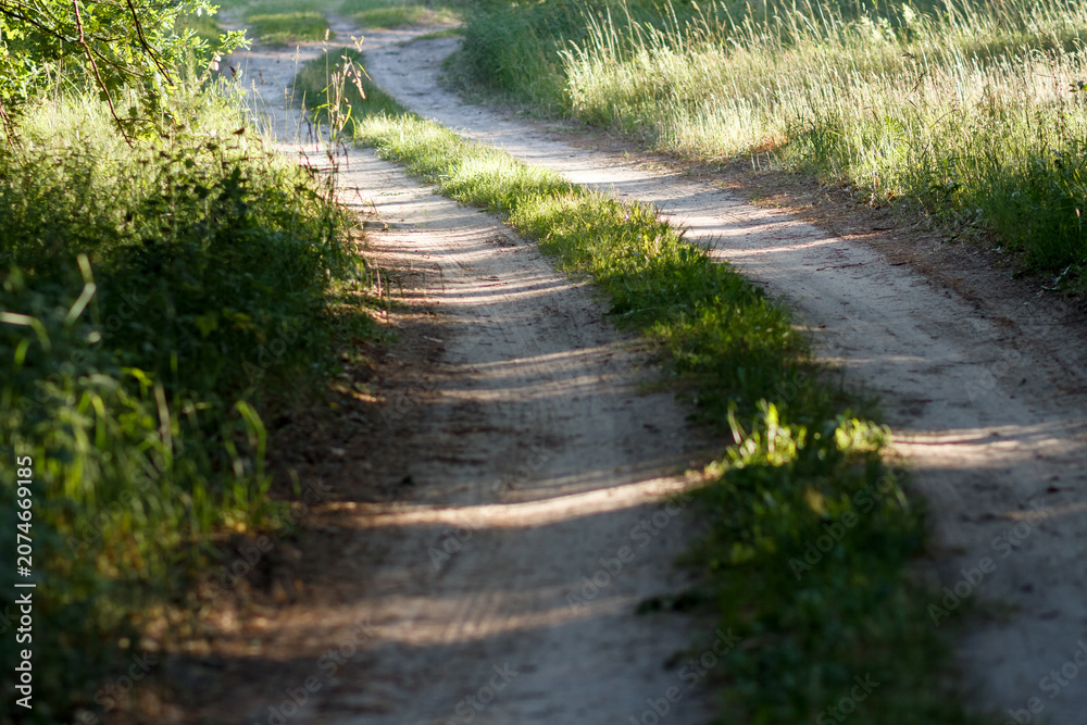 Fototapeta premium Dirt road with tyre tracks winds through green grass field in sunny summer afternoon. Rural landscape with Poaceae plants and shadows from trees. European nature environment, scenic countryside.