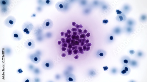 Virus y bacterias