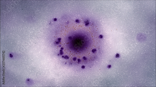 Virus y bacterias