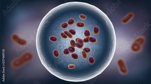 Virus y bacterias