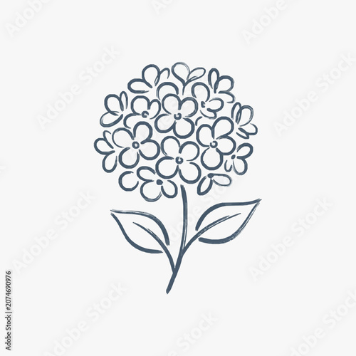 Simple Hand Drawn Hydrangea Flower Illustration.