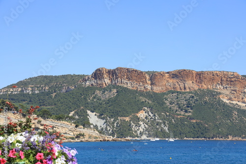 Bild auf Leinwand View of rock face of Falaises de Soubeyrannes with flowers in bloom in foreground