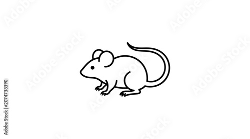 Small mouse in profile view.