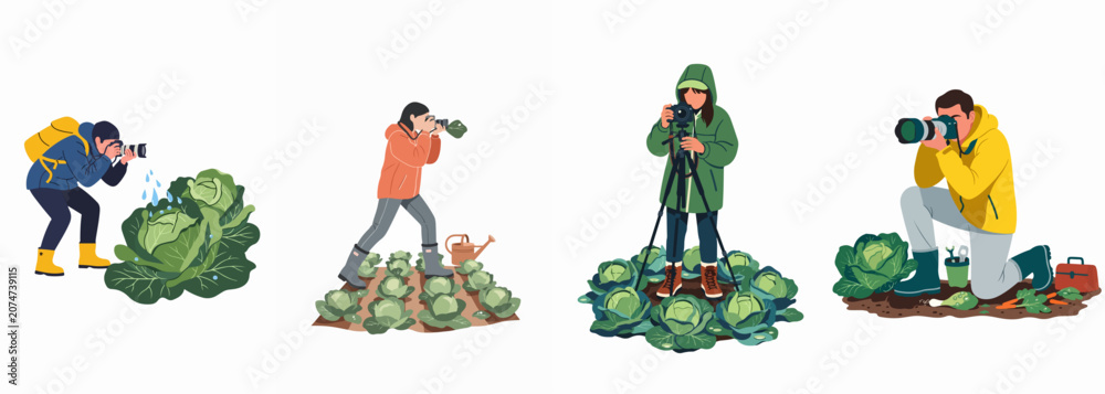 Fototapeta premium Flat Vector Illustration Set of Photographers Capturing Images of Fresh Cabbages in a Vegetable Garden Using Various Cameras and Techniques.
