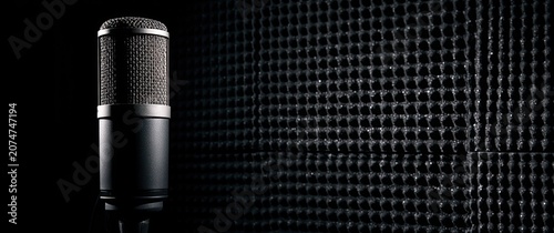 A large diaphragm condenser microphone stands against a dark, acoustically treated wall