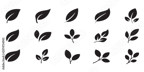 Set of leaves icons, simple flat design vector illustration with various shapes and styles isolated on white.