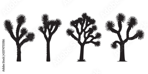 Εκτύπωση καμβά Silhouette of joshua trees in desert landscape, representing arid nature and unique flora