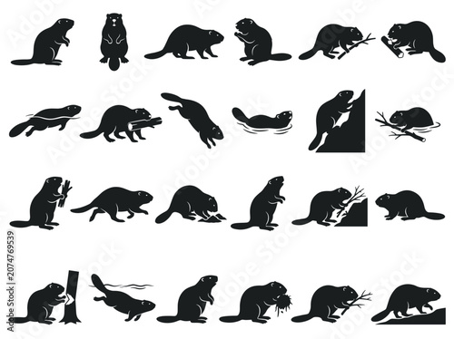 Vászonkép Beaver Silhouette Collection: Diverse Poses and Actions