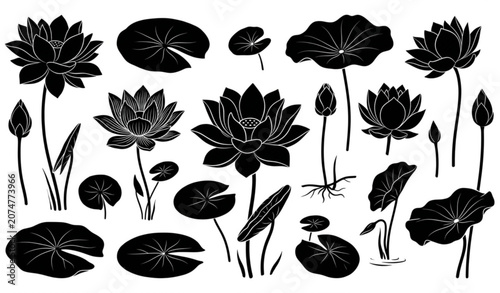 Foto Lotus Flower and Lily Pad Silhouette Set – Black Floral Vector Collection Isolat