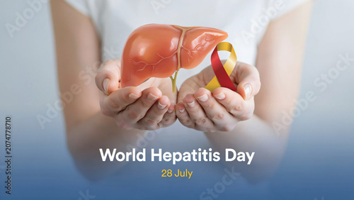 Hands Holding Liver Model with Hepatitis Awareness Ribbon on World Hepatitis Day