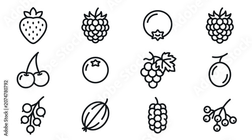 Set of fresh berry and fruit outline icons.