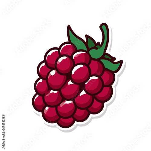 Flat vector illustration of a raspberry with leaves