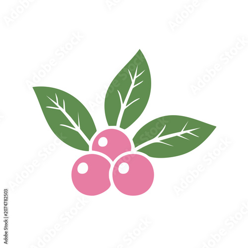 Pink Holly Berries and Green Leaves Vector Illustration