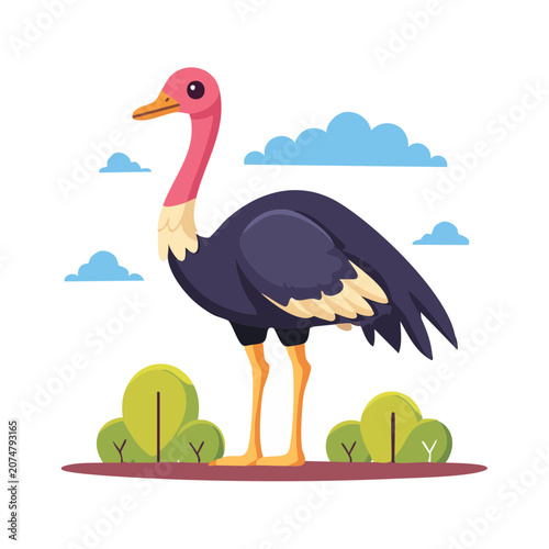 Flat vector illustration of an ostrich