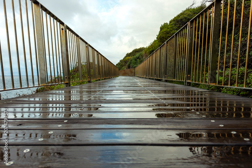 Wet wooden boardwalk along the Bondi to Coogee Coastal Walk after morning rain, with reflective decking, coastal vegetation and ocean views, Sydney, Australia.