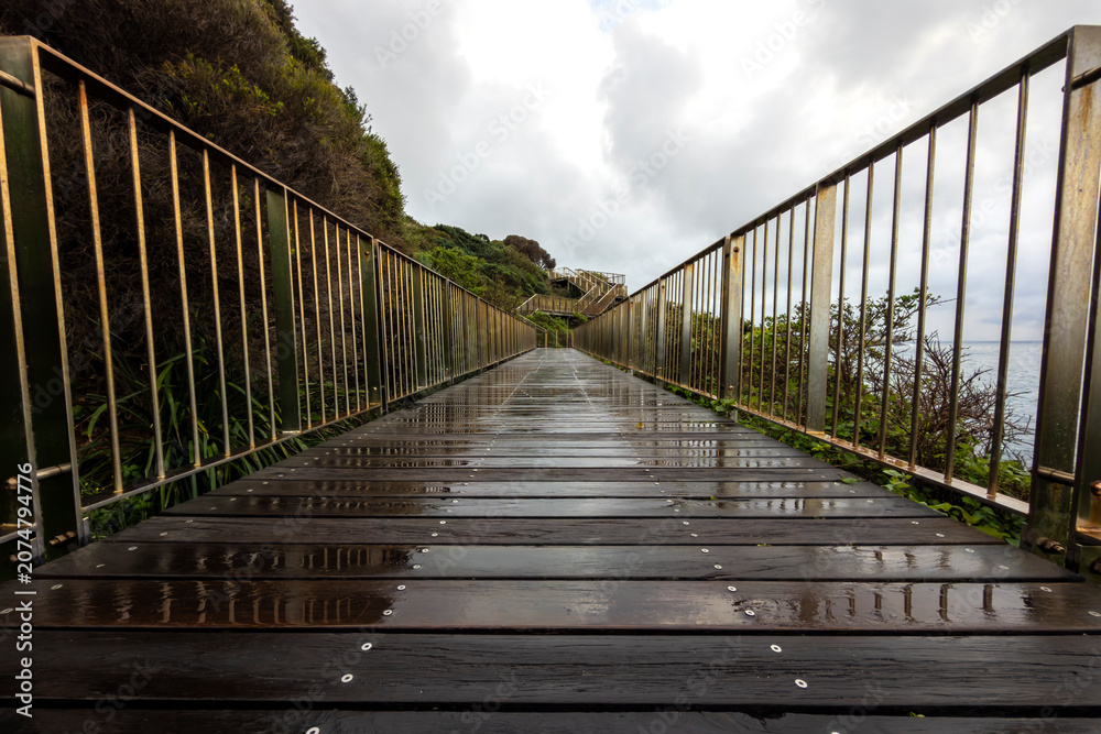 Fototapeta premium Wet wooden boardwalk along the Bondi to Coogee Coastal Walk after morning rain, with reflective decking, coastal vegetation and ocean views, Sydney, Australia.