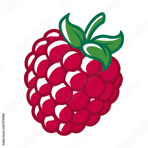 Flat vector illustration of a raspberry with leaf