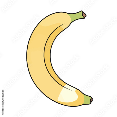 Yellow banana with green stem vector illustration