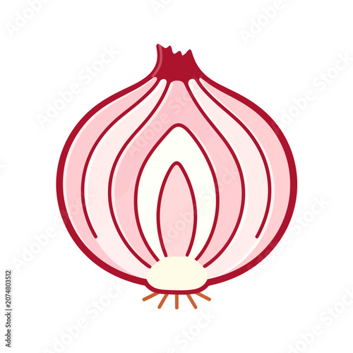 Red onion cut in half, flat vector illustration