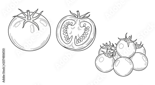 A collection of hand drawn tomatoes in a simple black and white line art style