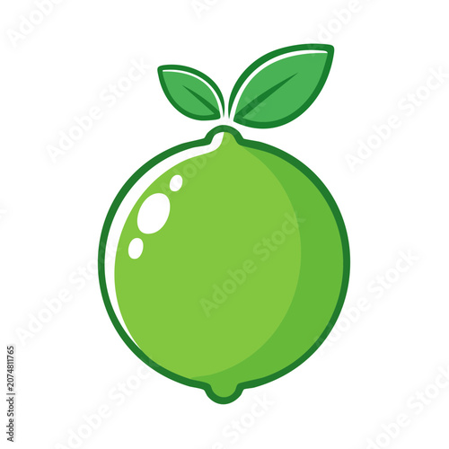 Green Lime Fruit with Leaf Vector Illustration