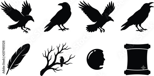 Bild auf Leinwand Raven and crow silhouettes collection featuring flying birds branch feather scro