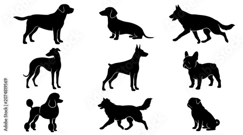 Fotografie Black silhouettes of various dog breeds.