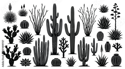 Εκτύπωση καμβά Black cactus and succulent silhouettes on white