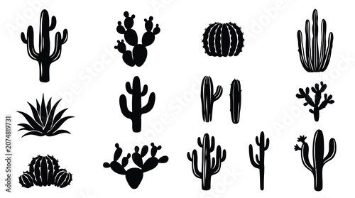 Tableau sur toile Black cactus and succulent silhouettes on white