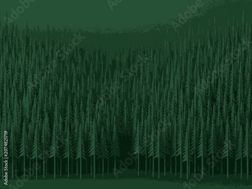 Dense Evergreen Forest Landscape Illustration, Dark Green Forest Background with Tall Pine Trees